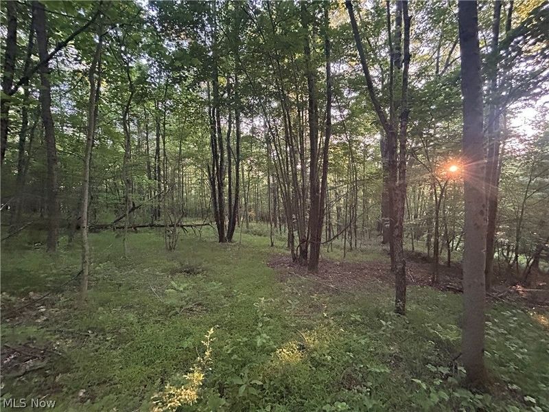 Cr 80, Frazeysburg, OH 43822 Photo 8