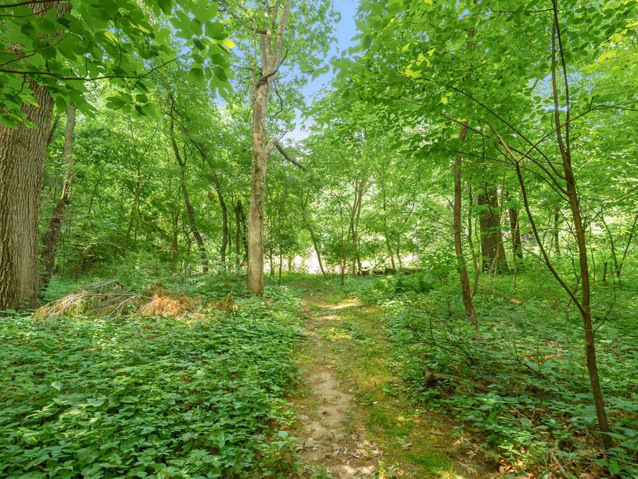 Property Image 36