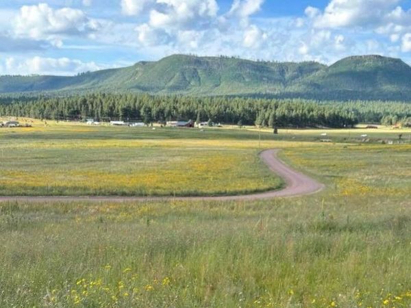 27 COUNTY ROAD 2330, Unit 32, Alpine, AZ 85920
