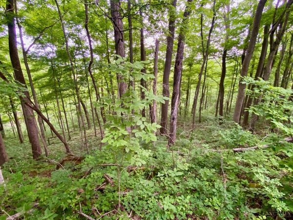 85 Pfeifer Road, Manchester, OH 45144