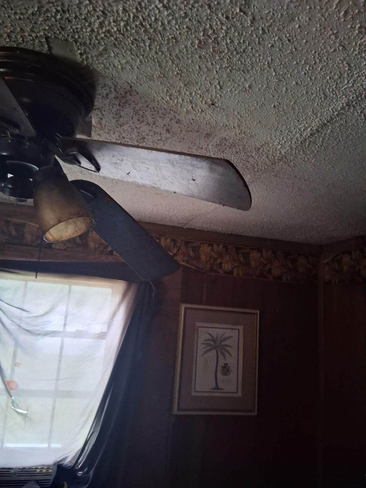 401 Action Street, Pensacola, FL 32514 Photo