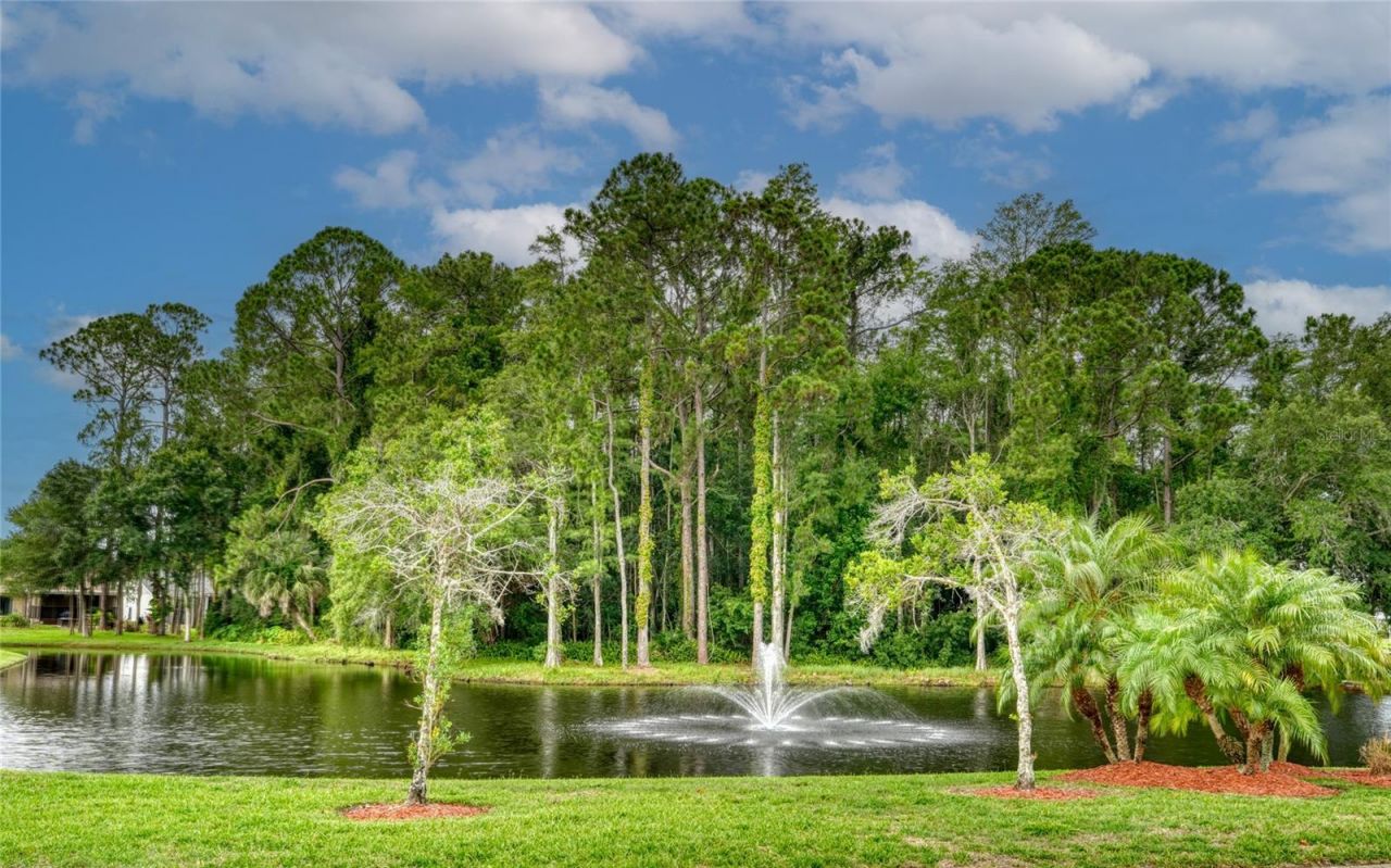 9022 Ramsgate Drive, Unit 9022, New Port Richey, FL 34655 Photo
