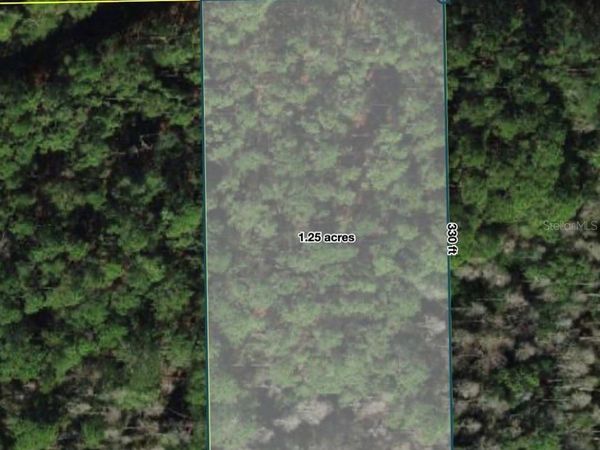 POLK CITY , POLK CITY, FL 33868