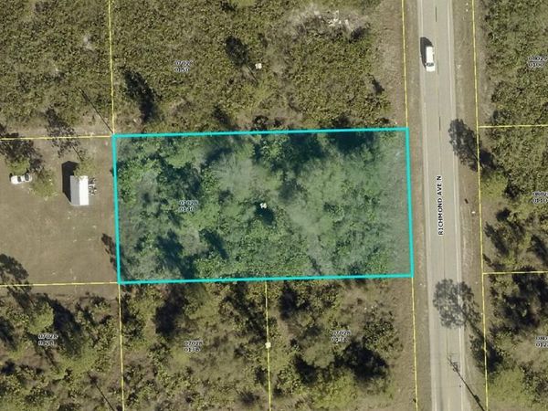 1003 RICHMOND AVENUE N, LEHIGH ACRES, FL 33972