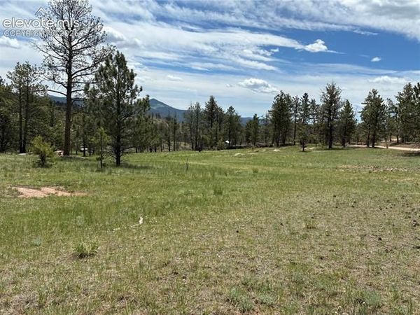 266 Chapparal Trail, Florissant, CO 80816