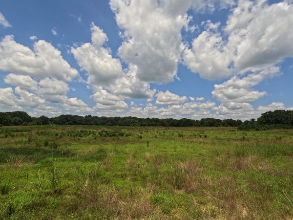 Old Port Gibson Road, Utica, MS 39175