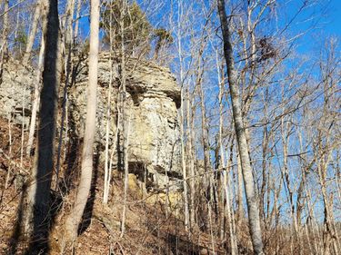 0 Birch Hollow Rd Road, Unit Lot # 20 P, Stanton, KY 40380