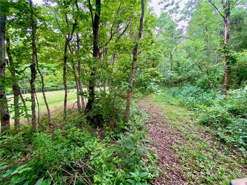 85 Pfeifer Road, Manchester, OH 45144 Photo 6