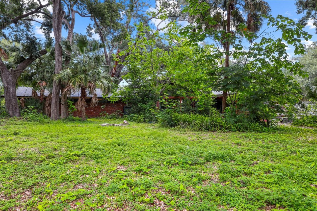 10134 White Trout Lane , Tampa, FL 33618 Photo