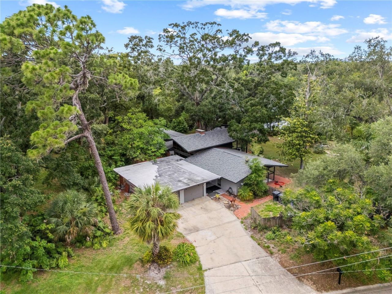 10134 White Trout Lane , Tampa, FL 33618 Photo