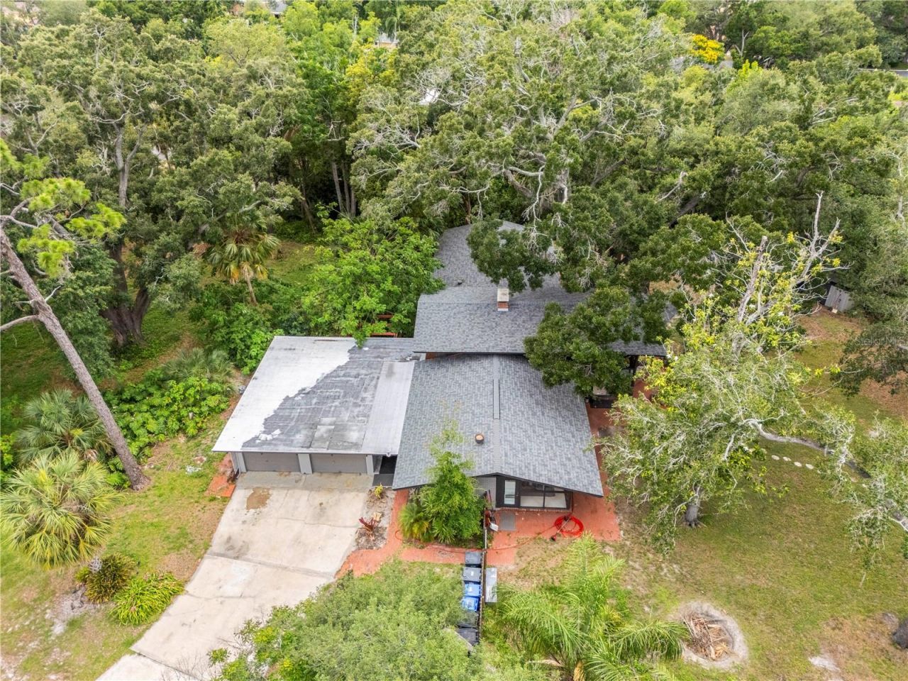 10134 White Trout Lane , Tampa, FL 33618 Photo
