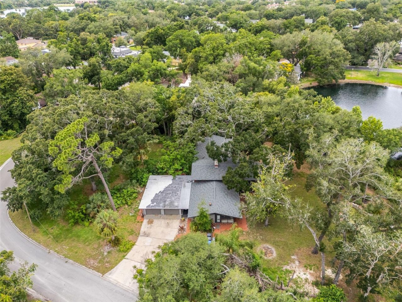 10134 White Trout Lane , Tampa, FL 33618 Photo