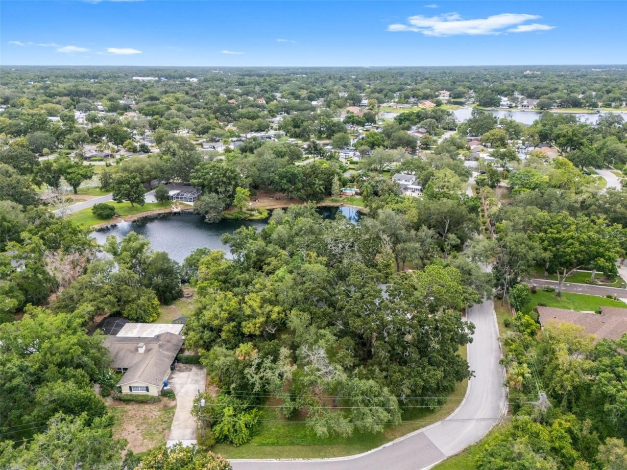 10134 White Trout Lane , Tampa, FL 33618 Photo