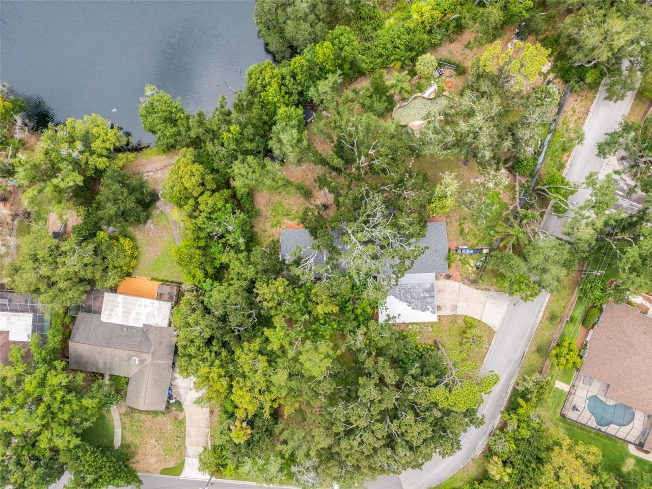 10134 White Trout Lane , Tampa, FL 33618 Photo
