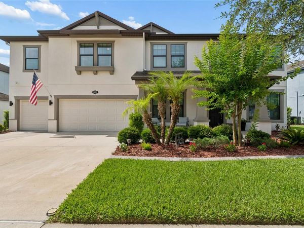 10623 MISTFLOWER LANE, TAMPA, FL 33647