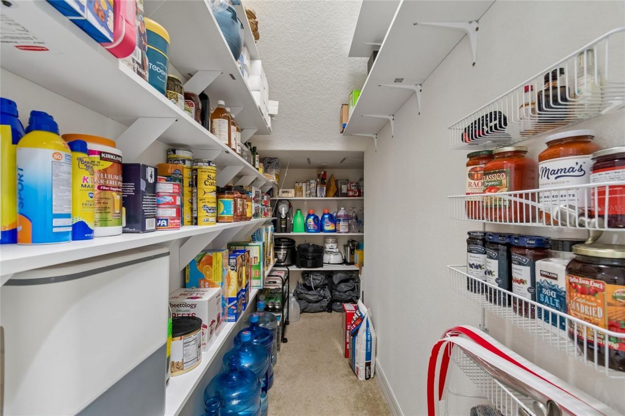 10623 Mistflower Lane, Tampa, FL 33647 Photo
