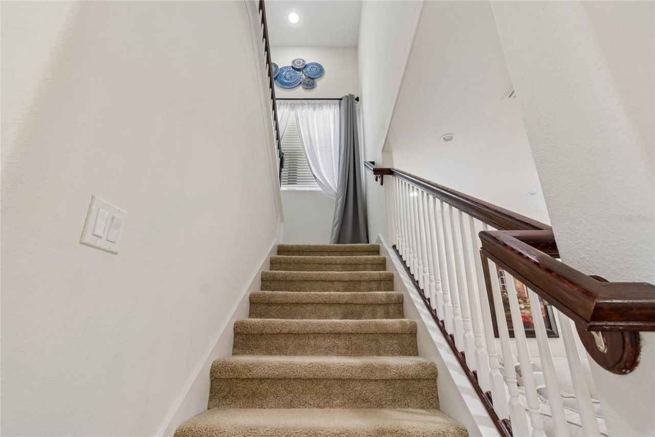 10623 Mistflower Lane, Tampa, FL 33647 Photo