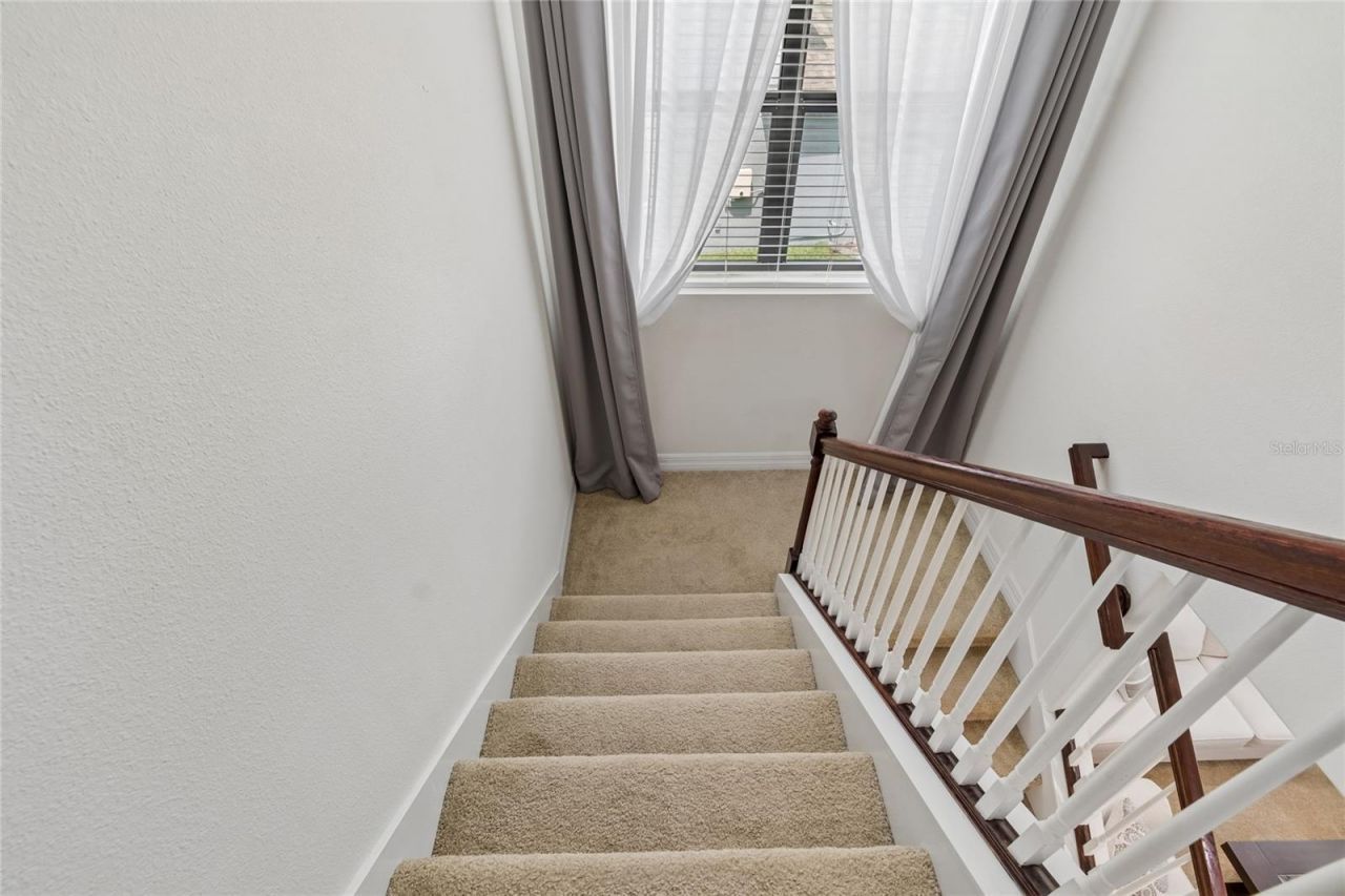 10623 Mistflower Lane, Tampa, FL 33647 Photo