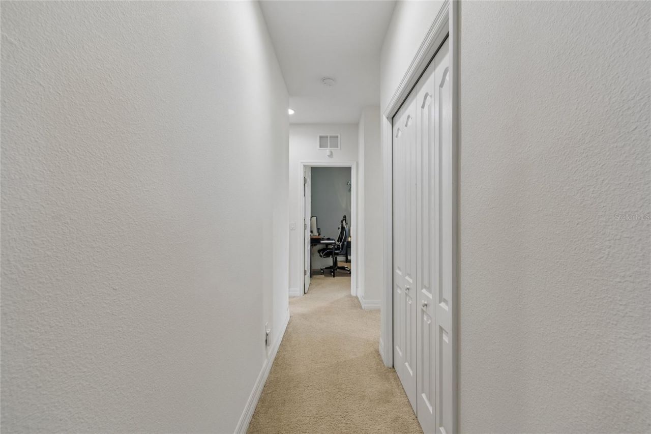 10623 Mistflower Lane, Tampa, FL 33647 Photo