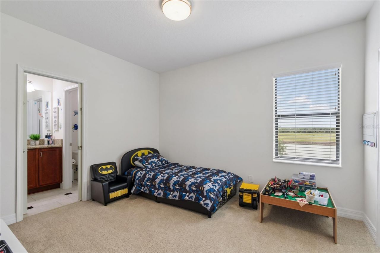 10623 Mistflower Lane, Tampa, FL 33647 Photo