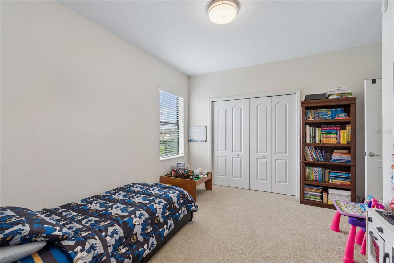 10623 Mistflower Lane, Tampa, FL 33647 Photo