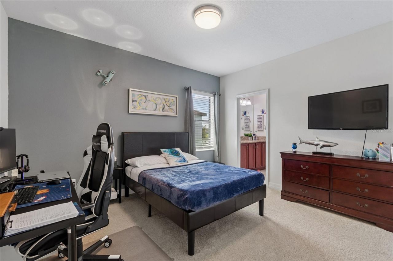 10623 Mistflower Lane, Tampa, FL 33647 Photo