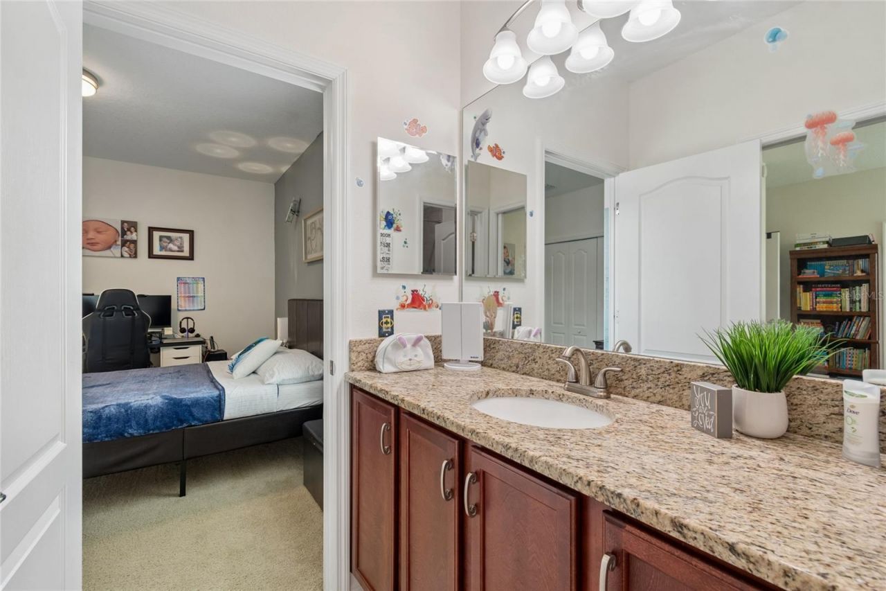 10623 Mistflower Lane, Tampa, FL 33647 Photo