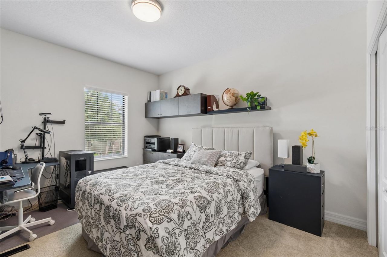 10623 Mistflower Lane, Tampa, FL 33647 Photo