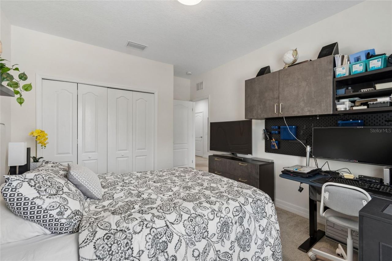 10623 Mistflower Lane, Tampa, FL 33647 Photo