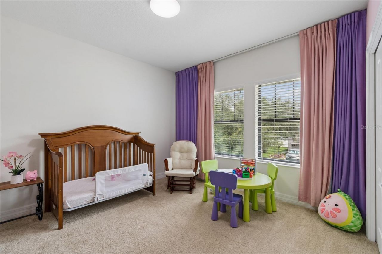 10623 Mistflower Lane, Tampa, FL 33647 Photo