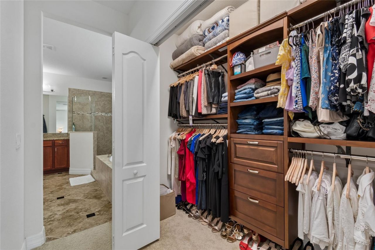 10623 Mistflower Lane, Tampa, FL 33647 Photo