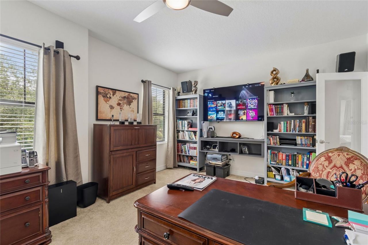10623 Mistflower Lane, Tampa, FL 33647 Photo