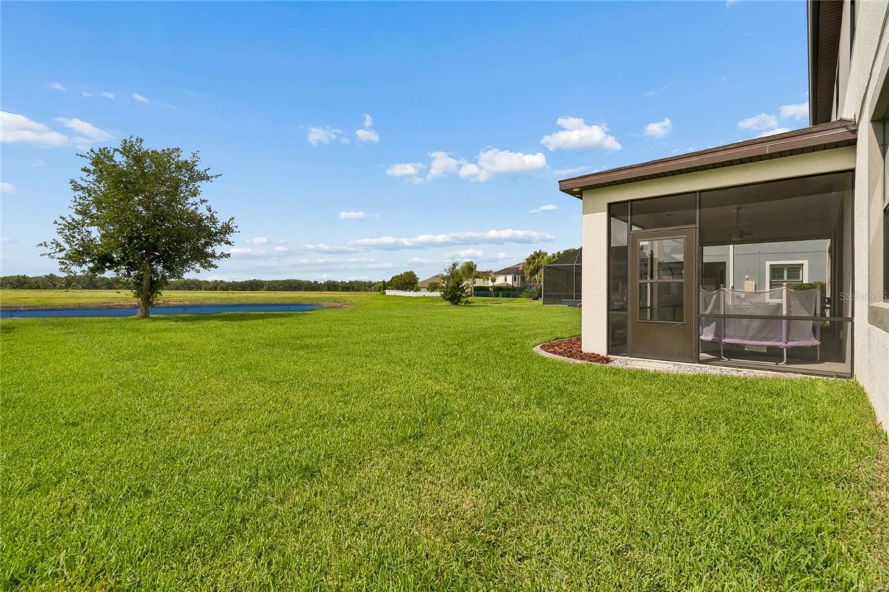 10623 Mistflower Lane, Tampa, FL 33647 Photo
