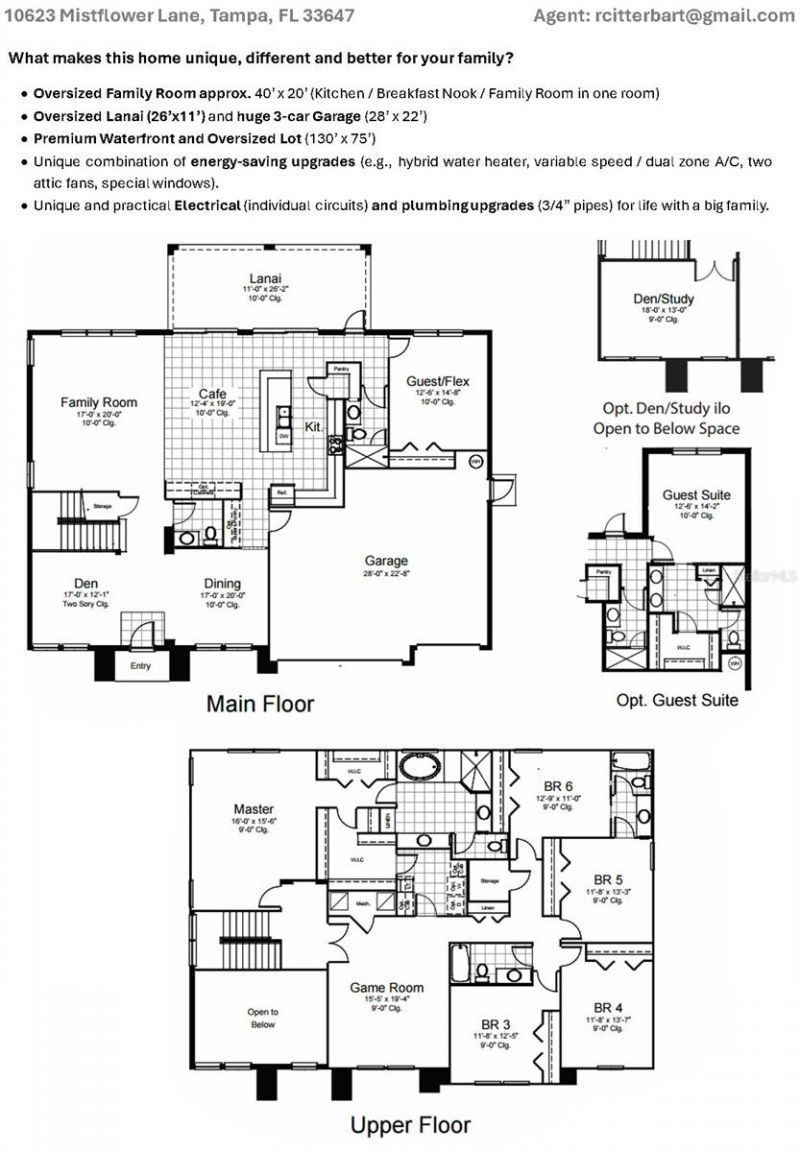 10623 Mistflower Lane, Tampa, FL 33647 Photo
