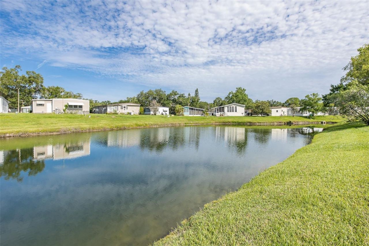 72 Cottagewood Drive , Unit 29, Safety Harbor, FL 34695 Photo