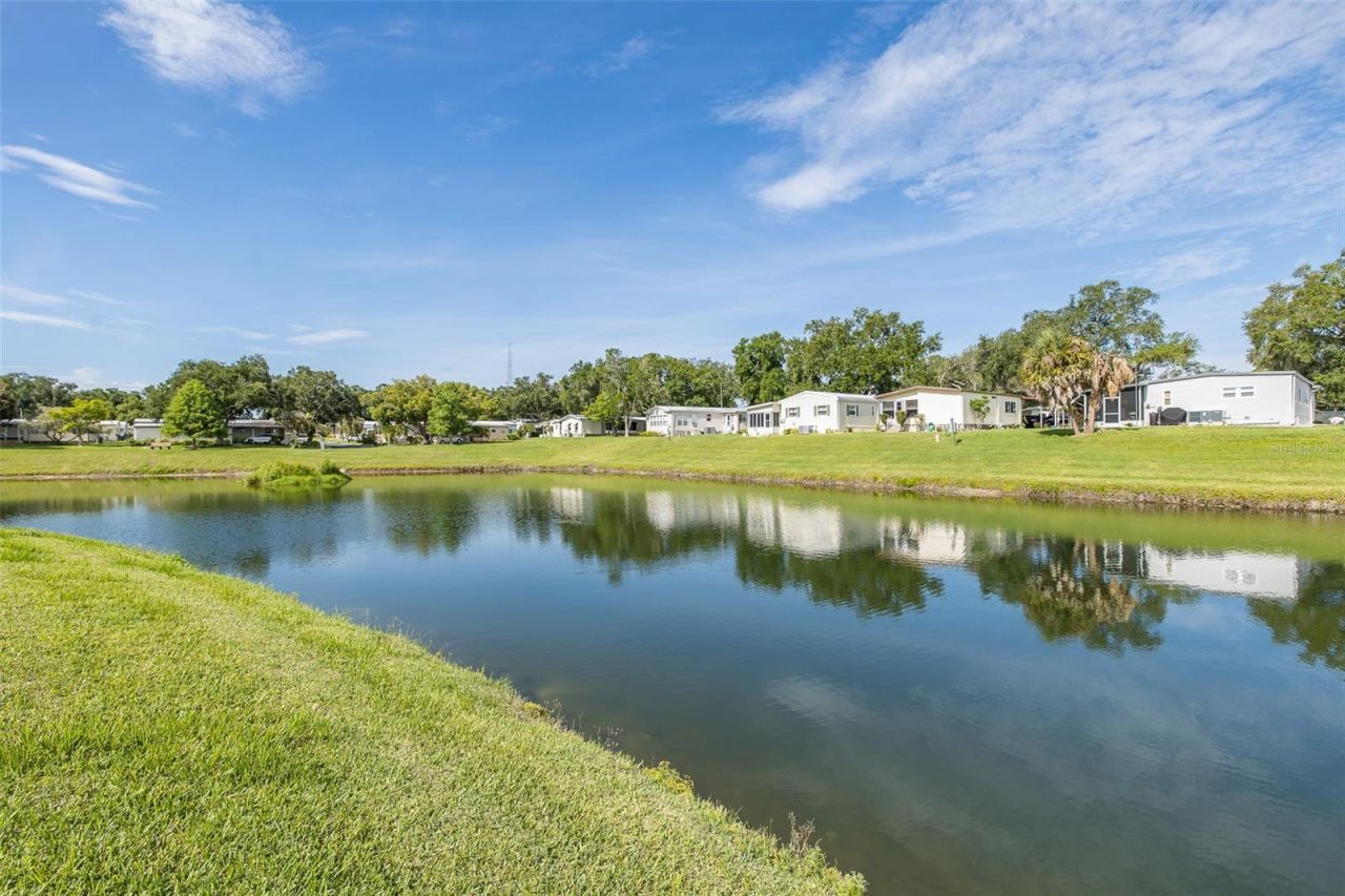 72 Cottagewood Drive , Unit 29, Safety Harbor, FL 34695 Photo