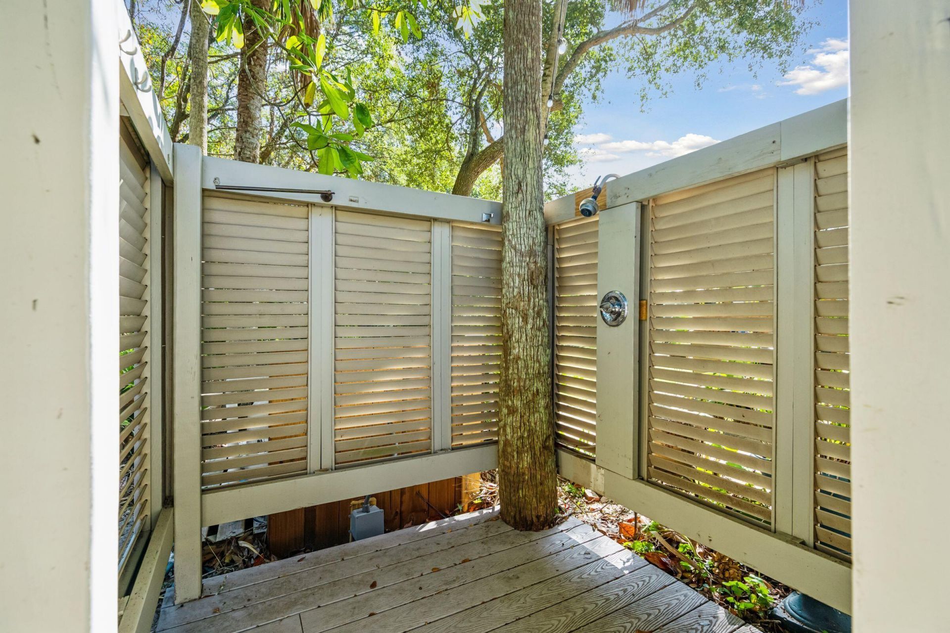 248 Forest Trail Photo 53