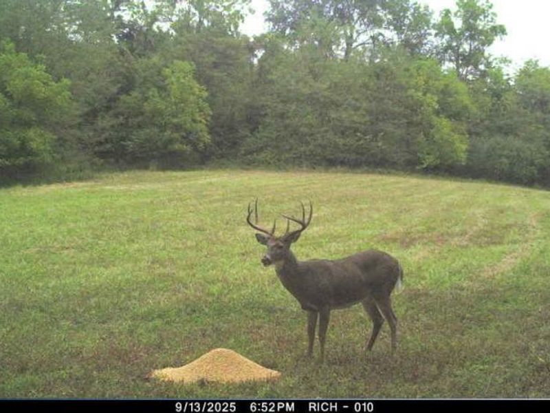 12680 Old Riley , Frazeysburg, OH 43822 Photo 101