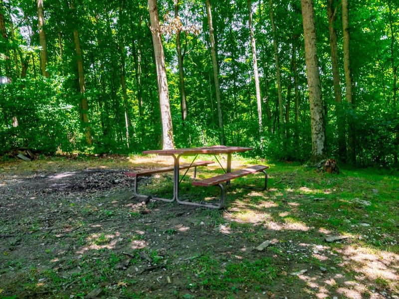 12680 Old Riley , Frazeysburg, OH 43822 Photo 59