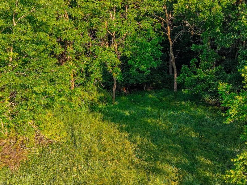 12680 Old Riley , Frazeysburg, OH 43822 Photo 73