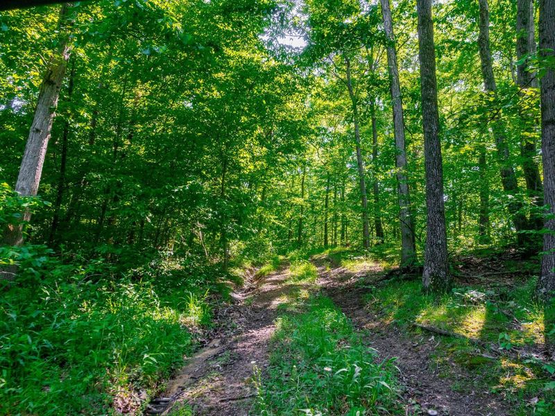 12680 Old Riley , Frazeysburg, OH 43822 Photo 86