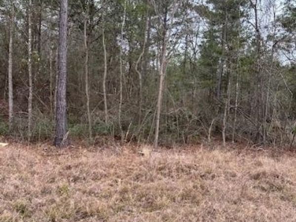 0 Salco Road , Axis, AL 36505