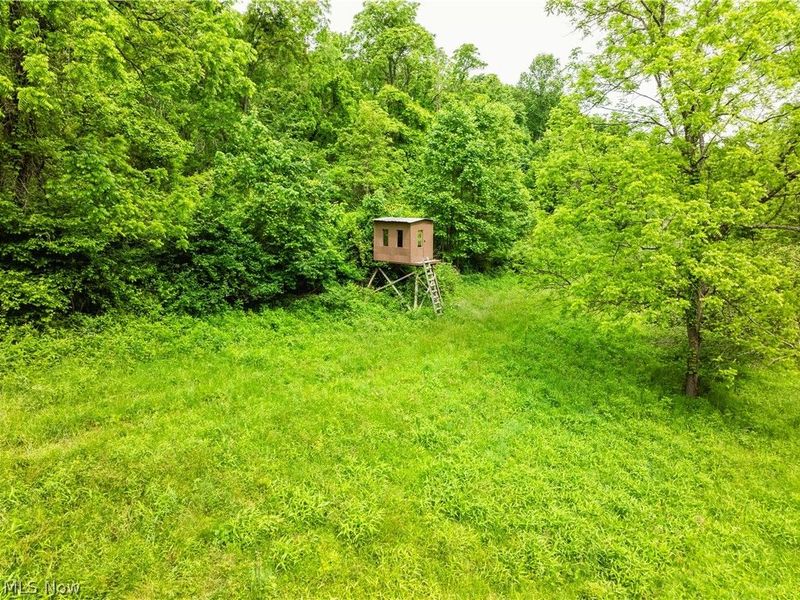 5674 Pleasant Valley Rd, Nashport, OH 43830 Photo 47