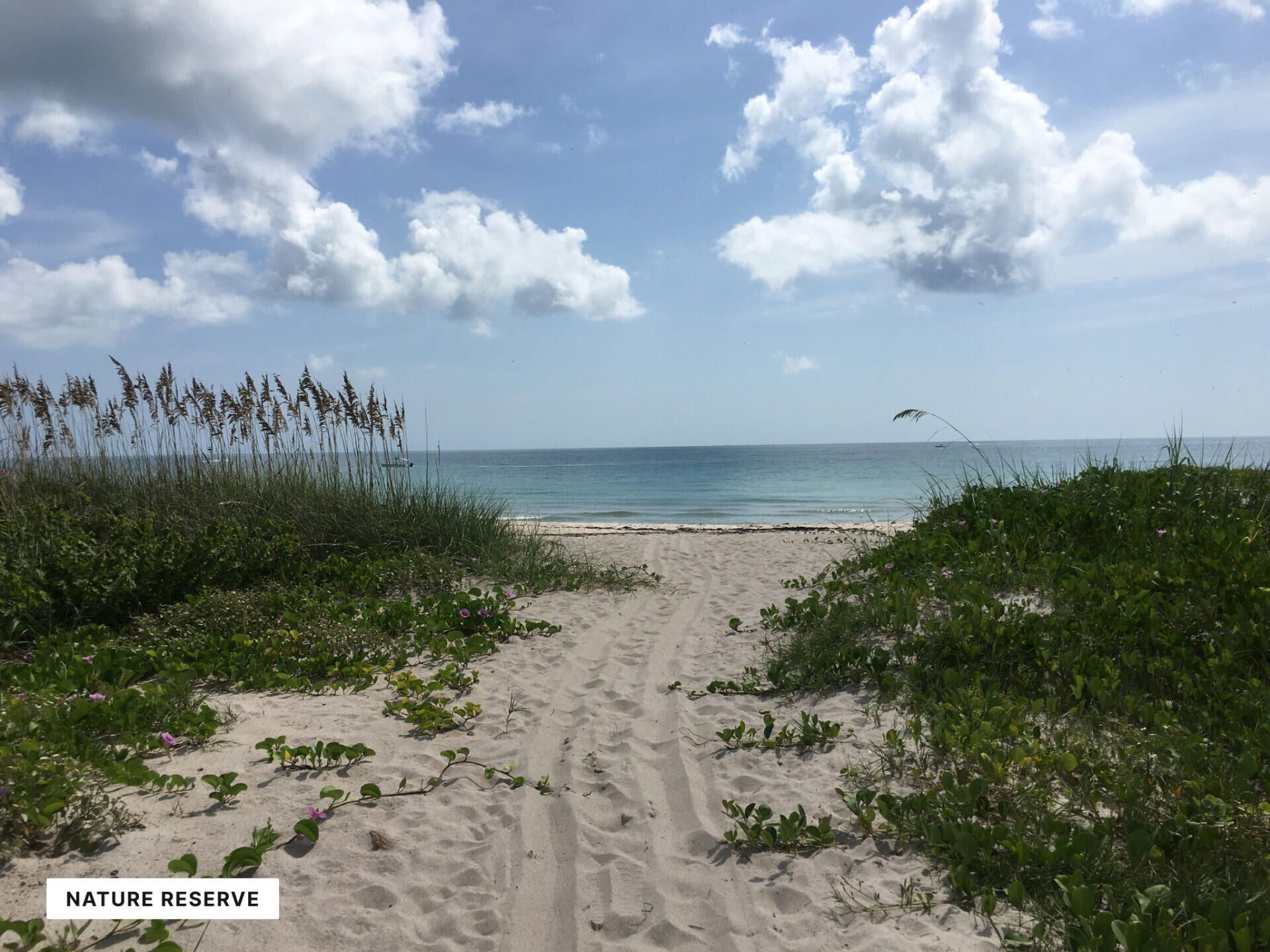 4221 N Highway A1a, Fort Pierce, FL 34949 Photo