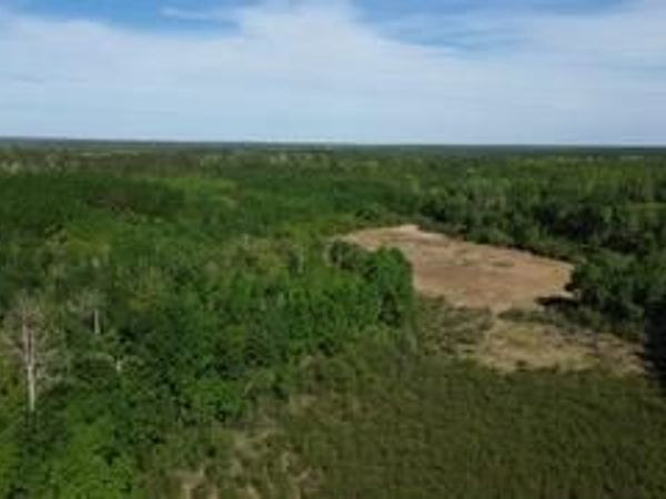 TBD County 4 , Park Rapids, MN 56470