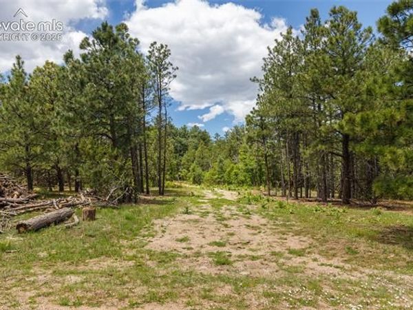 8719 Ponderosa Pine Drive, Beulah, CO 81023