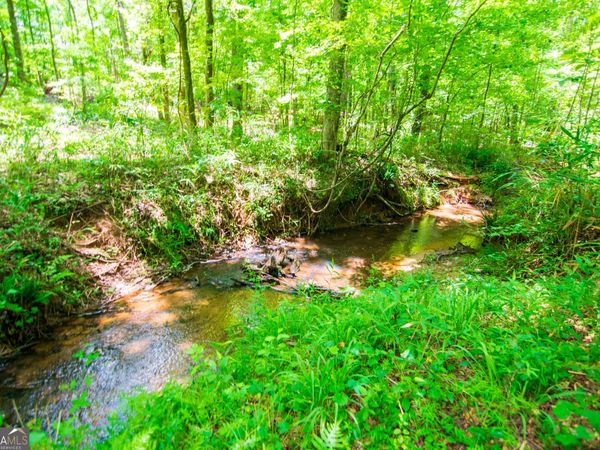 0 White Road, Pine Mountain, GA 31822