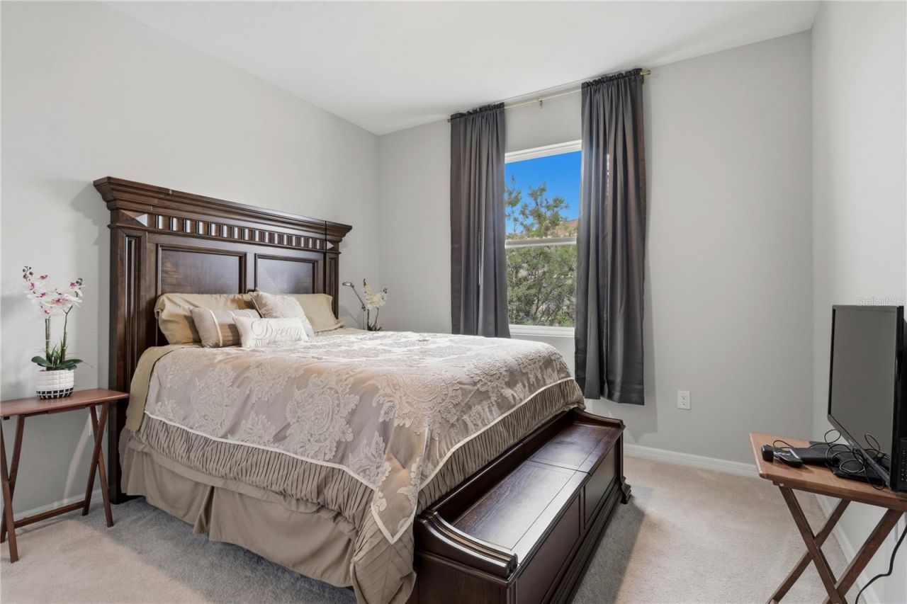 11316 Spoonbill Flock Way , San Antonio, FL 33576 Photo