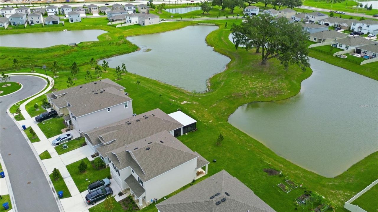 11316 Spoonbill Flock Way , San Antonio, FL 33576 Photo