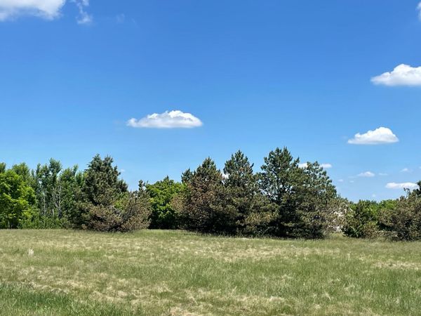 TBD Turtle Creek Circle , Cold Spring, MN 56320